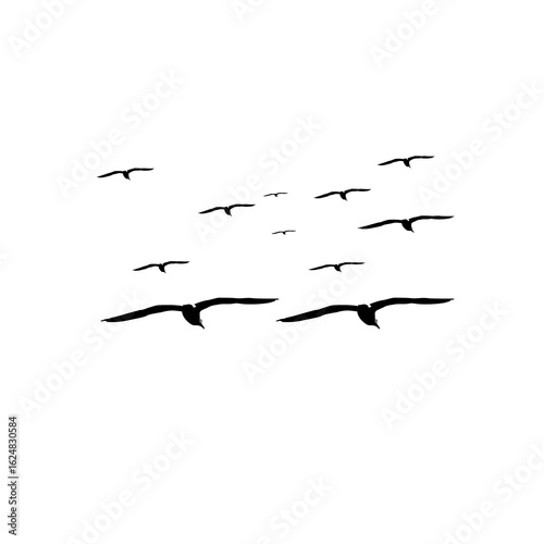 A minimalist graphic of a flock of black birds in silhouette flying across a simple white background. Ideal for themes of freedom, travel, nature, and movement.