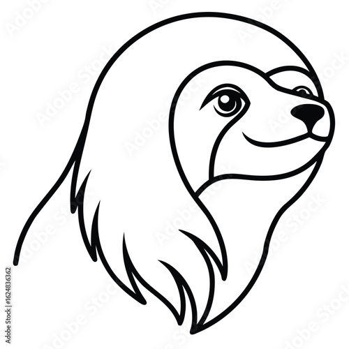 Photography vector illustration of koala