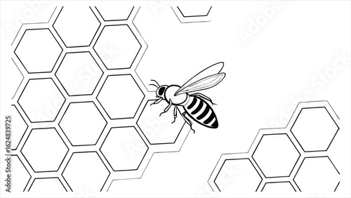 A detailed black and white line drawing of a single honeybee perched on a hexagonal honeycomb structure symbolizing nature, agriculture, and the importance of pollinators