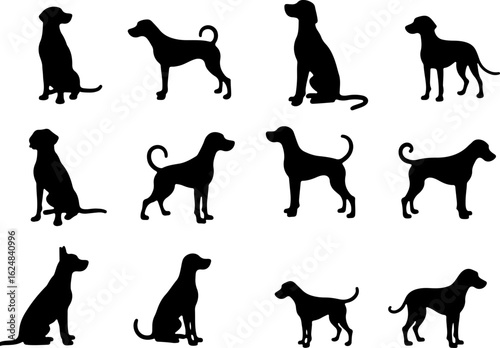 Dog Vector Silhouettes Collection bundle