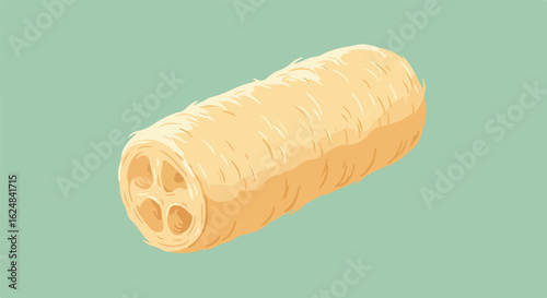 Loofah detail on a mint background, beauty products, bath, body care illustration