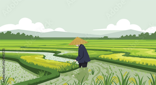 Rice farmer working in Asian fields with mountains. Can be used as background