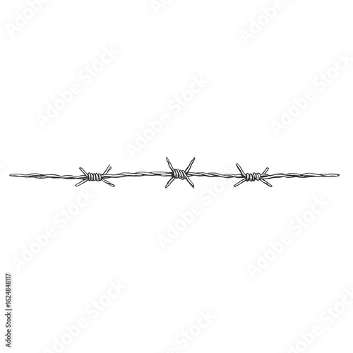 Barbed wire isolated object on white background without background  