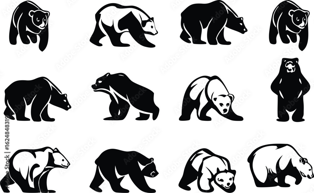Naklejka premium Robust bear vector illustrations in various poses: standing, walking, and resting, ideal for nature, wildlife