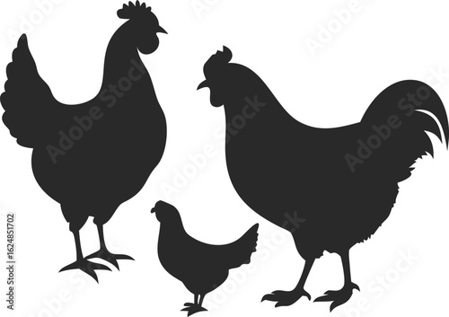 Three Chicken Silhouettes Depicting a Small Brood of Poultry on a White Background Showcasing Minimalist Domestic Fowl