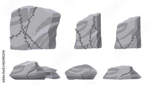 various gray rocks and stones with some having vines growing on them in different shapes