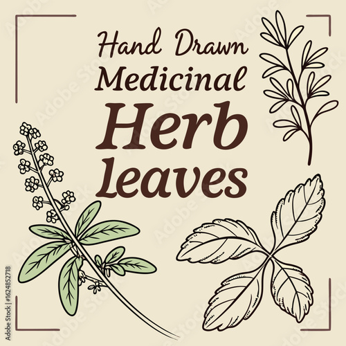 Illustration of hand drawn medicinal herb leaves with floral elements and outlined border on beige background