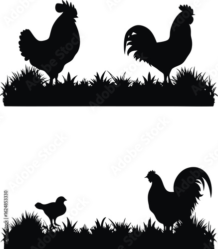 Silhouette of Farm Animals Roaming in the Field Chicken, Hen and Birds in a Rural Environment