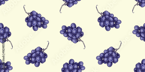 Ripe purple juicy grape berries bunches, hand drawn, seamless pattern, vector background, wallpaper, paper, fabric
