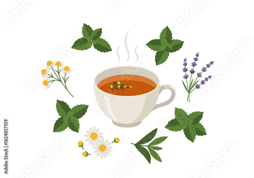 A cup of tea surrounded by fresh chamomile mint lavender  green leaves on a white background