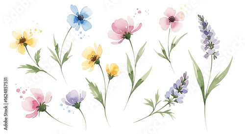 Watercolor Wildflowers in Soft Pastel Colors