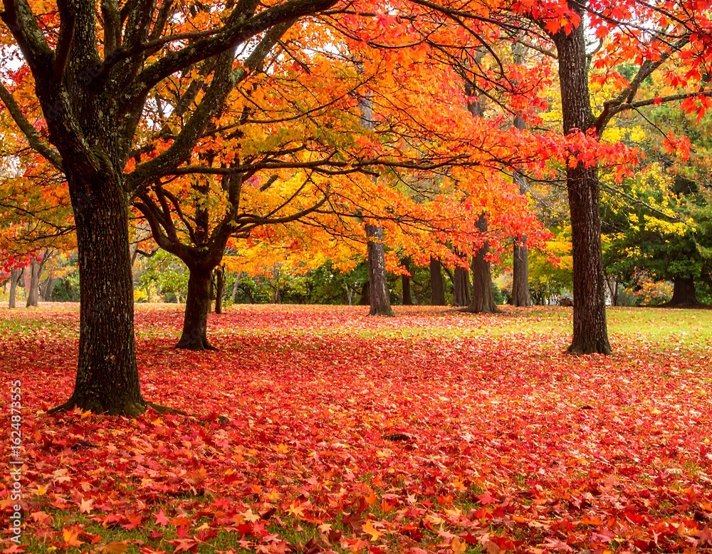 Autumn park with fallen leaves Autumn park with fallen leaves