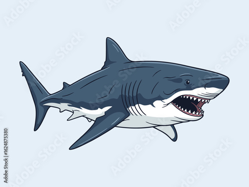 megalodon shark on a white background