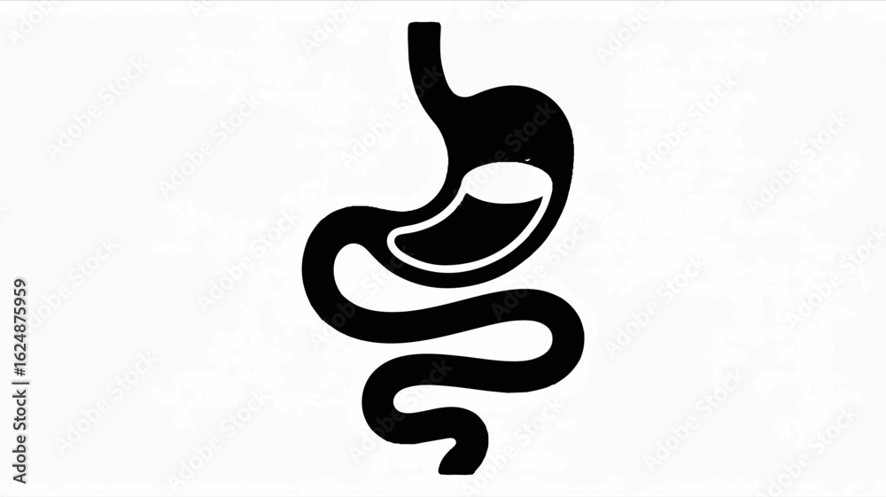 Fototapeta premium Minimalist black and white human digestive system anatomy illustration