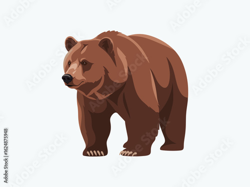 brown bear vector illustration