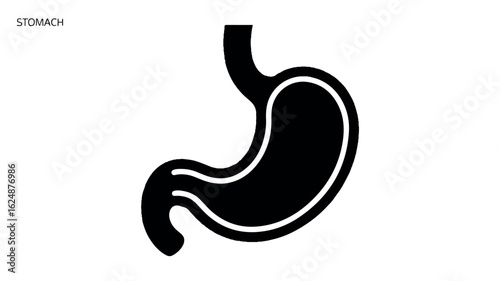 Minimalist black and white human stomach icon for medical and health concepts