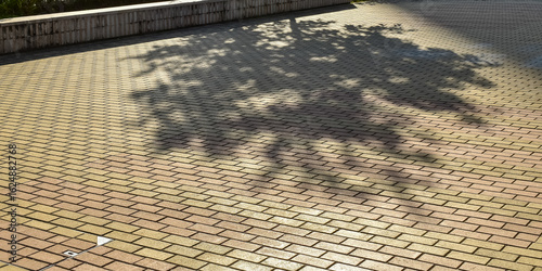 Close-up of the tree shadow on the ground. Sunlight of pedestrian walkway of the city. Tree shadow. Street pattern. For background use. 
