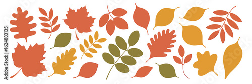 Autumn leaves collection fall seasonal
