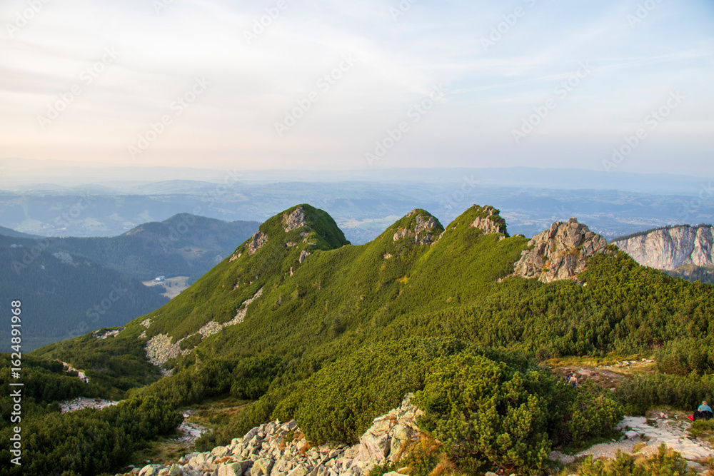 Fototapeta premium Scenic green mountain ridge in Tatra Mountains, Zakopane, Poland. Panoramic view of green mountain ridge and rocky peaks in Tatra Mountains