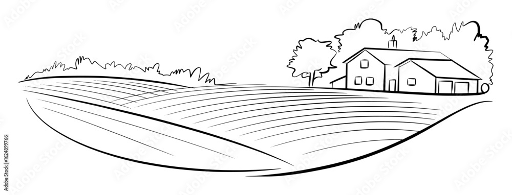Fototapeta premium Rural landscape with house and fields trees