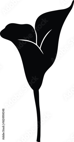 calla lily flower silhouette