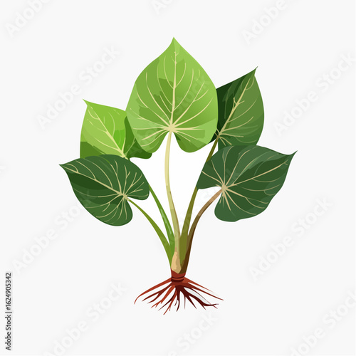 A detailed illustration of a healthy potted plant featuring lush green leaves and visible root system on a clean white background