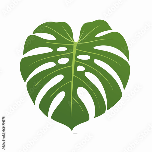 A stylized illustration of a vibrant green Monstera leaf with distinctive fenestrations and intricate vein patterns on a clean white background