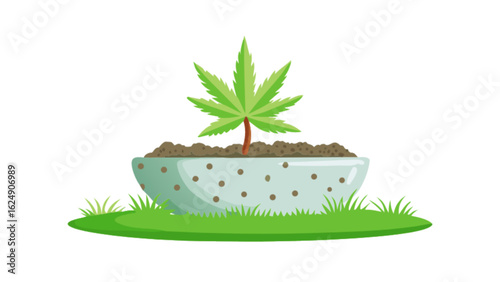 Growing cannabis plant in pot vector illustration for medical and recreational use and marijuana legalization concept