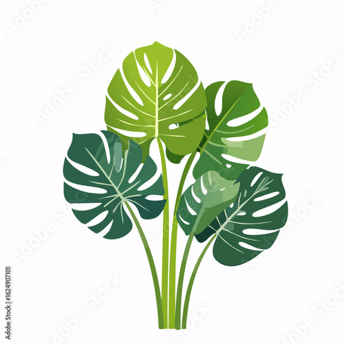 A vibrant vector illustration of a lush green Monstera plant with its iconic split leaves and thick stems on a clean white background.
