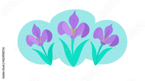 Beautiful purple iris flower drawing vector illustration for garden and floral design projects online use