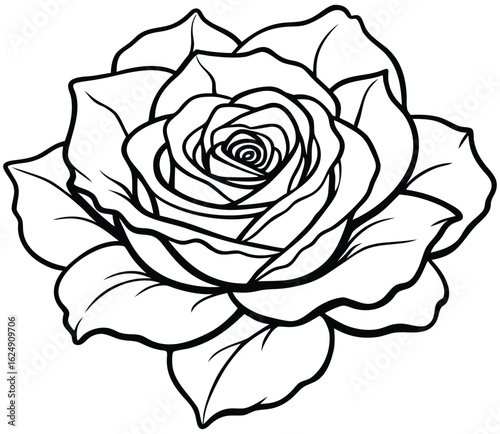 Wallpaper Mural White rose blossom vector illustration on black background for seamless floral pattern design Torontodigital.ca