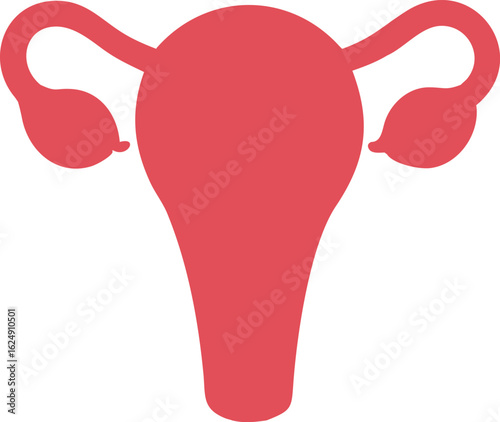 female reproduction system anatomy silhouette