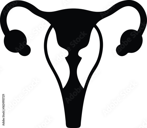 female reproduction system anatomy silhouette
