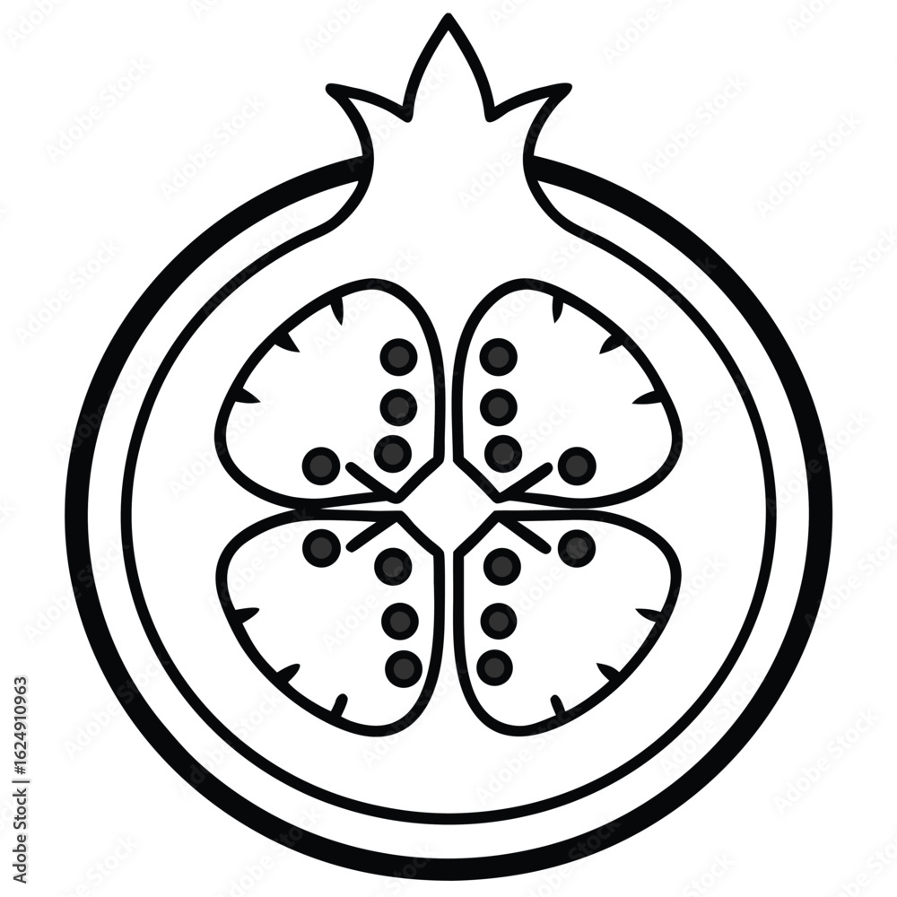 Fototapeta premium pomegranate fruit vector illustration