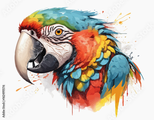 The artwork of Macaw is set against a clean white background, which is dynamically broken up by splashes and drips of paint in various colors, including red, orange, and yellow.  (1)