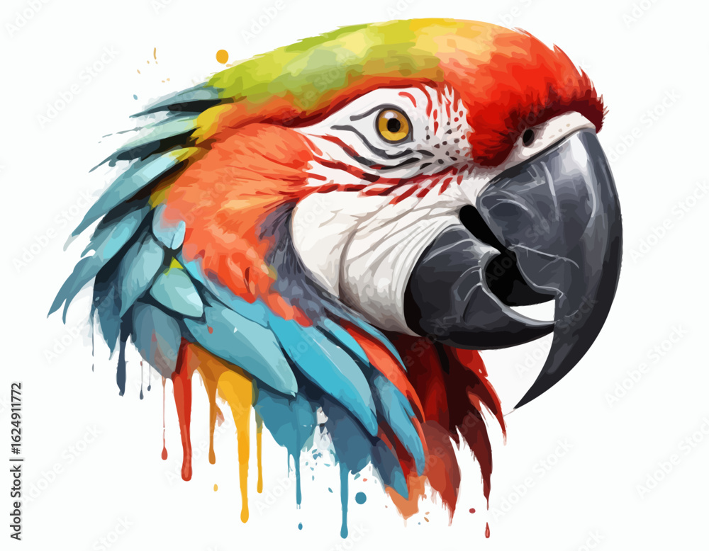 Obraz premium The artwork of Macaw is set against a clean white background, which is dynamically broken up by splashes and drips of paint in various colors, including red, orange, and yellow. (1)
