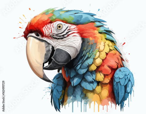 The artwork of Macaw is set against a clean white background, which is dynamically broken up by splashes and drips of paint in various colors, including red, orange, and yellow.  (1)