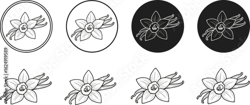Vanilla flower vector illustration set for logo and design