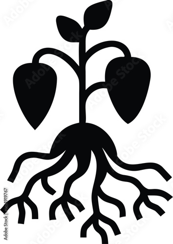 pepper plant with roots silhouette 