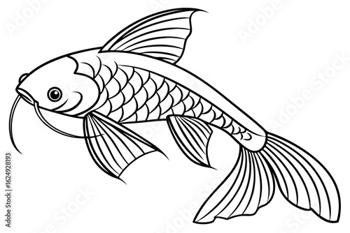 coloring page line art the glass catfish black vector