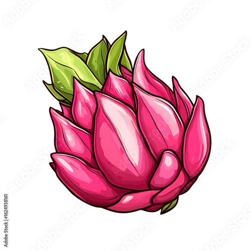  Dragon fruit isolated on 