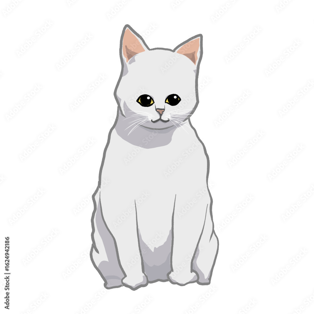 Obraz premium Cute Sitting White Cat