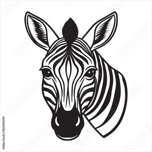 Zebra Stripes: Iconic Pattern of the Wild & African Plains