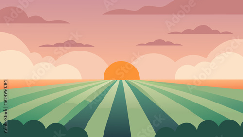 Fog Hovering Above Crop Rows at Sunrise Rural Farm Landscape