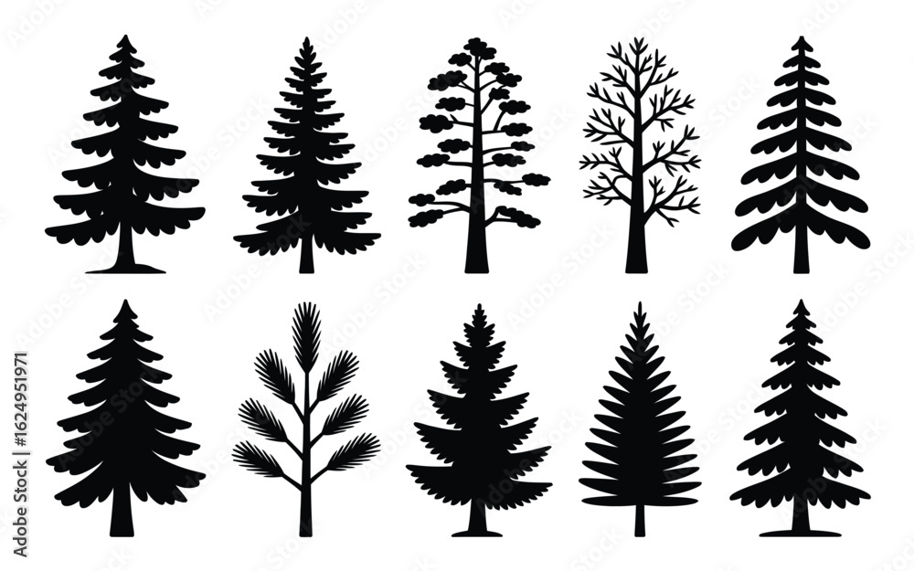 Fototapeta premium Vector art of collection of various coniferous tree silhouettes isolated on white background for design