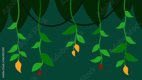 Jungle Vines Hanging from Thick Branches Tropical Forest