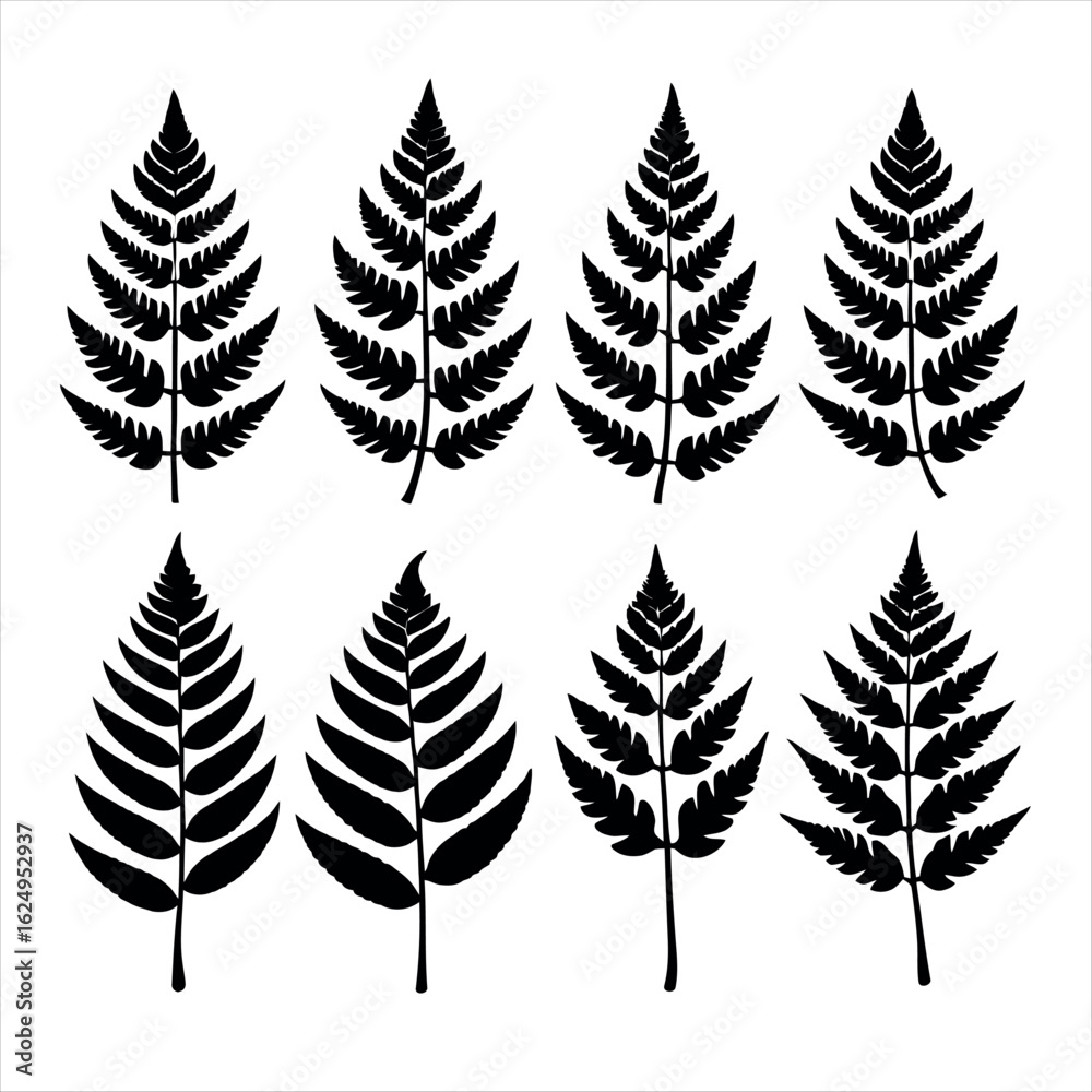 Obraz premium Vector art of a set of fern leaves