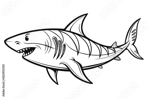 coloring page line art the great white shark fish vector
