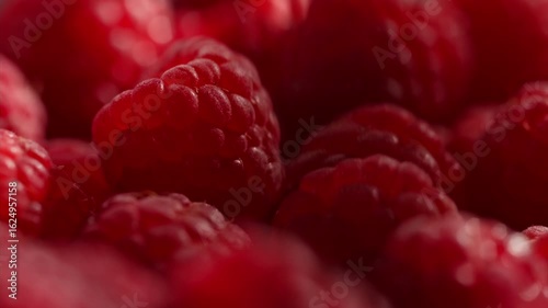 Sunlit raspberries glow under dappled forest light, their glossy surfaces catching sunlight through branches in extreme close-up. Vibrant summer freshness.