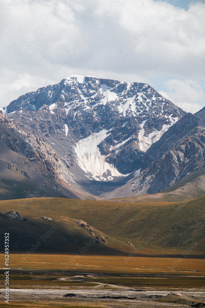 Fototapeta premium A dramatic vertical shot of a majestic snowcapped mountain peak towering over a vast, golden and green valley under a cloudy sky